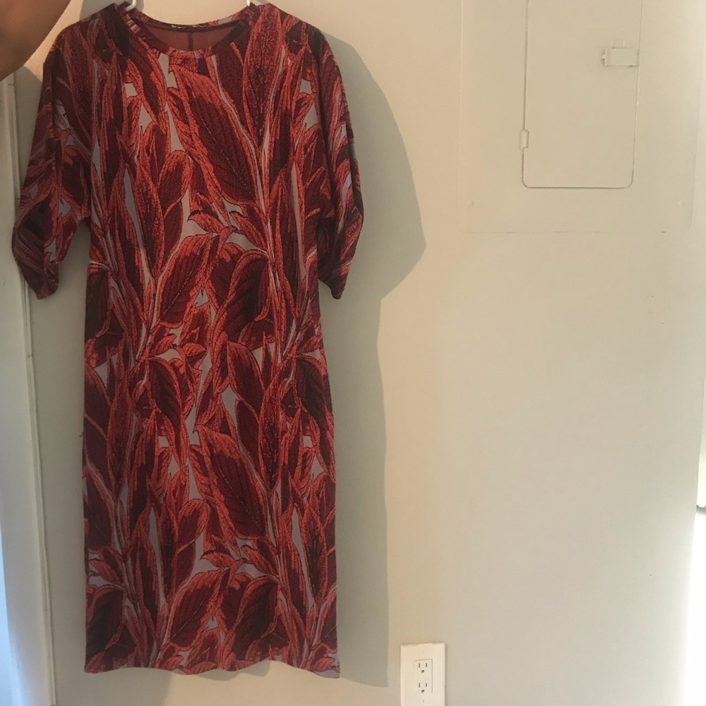 Zara dress